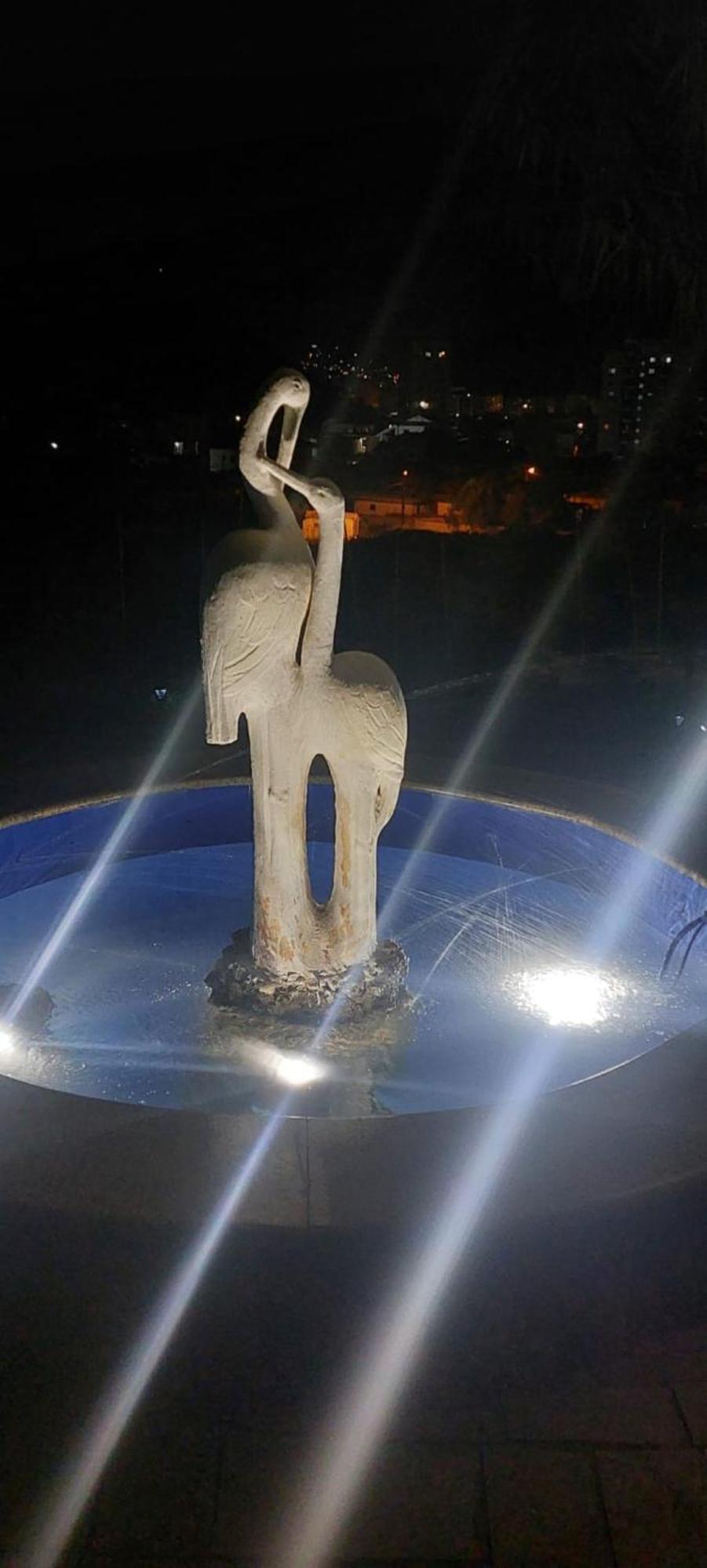 Yucca Vlorë