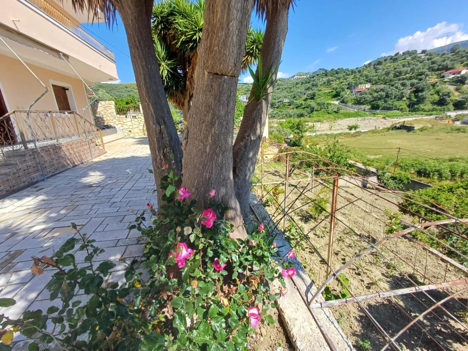 Appartamento Yucca Vlorë